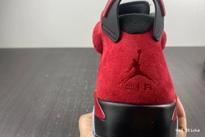 6 6010 Functional Retro CT8529- 610 Jordan 1027